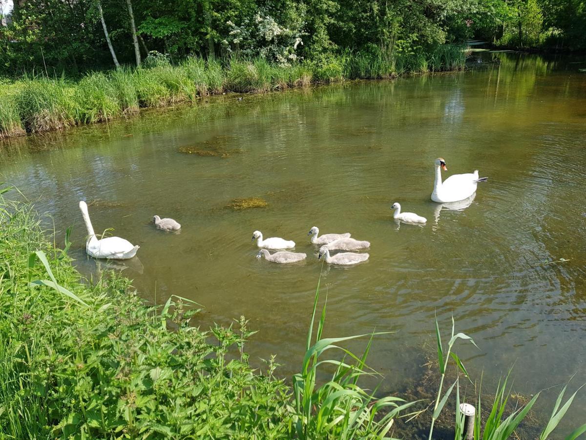 Beim Bracksee * Wischhafen