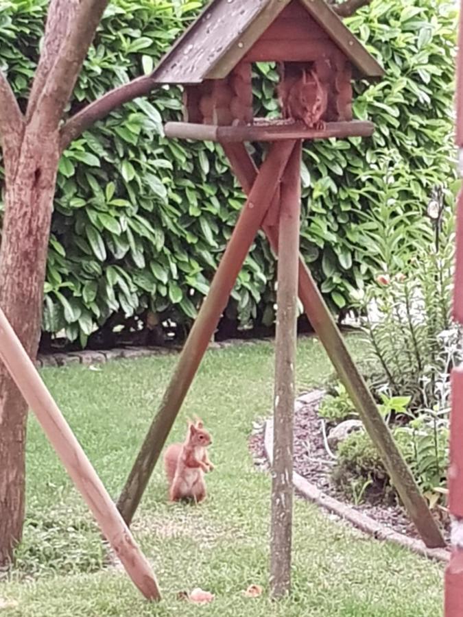 Beim Bracksee Appartement
