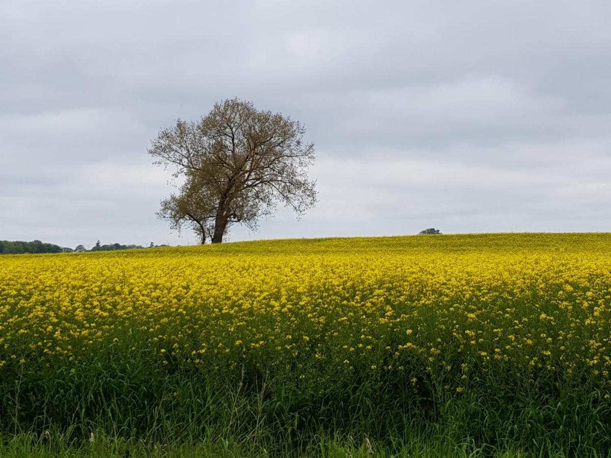 Beim Bracksee * Wischhafen